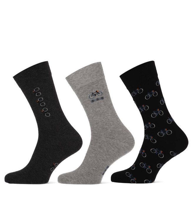 Teckel Vrolijke sokken fietsen volledig naadloos  3 paar