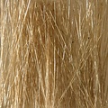 Ziterdes Riet veldgras beige - 12116