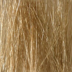 Riet veldgras beige - 12116