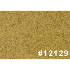 Steppe grass - 12129