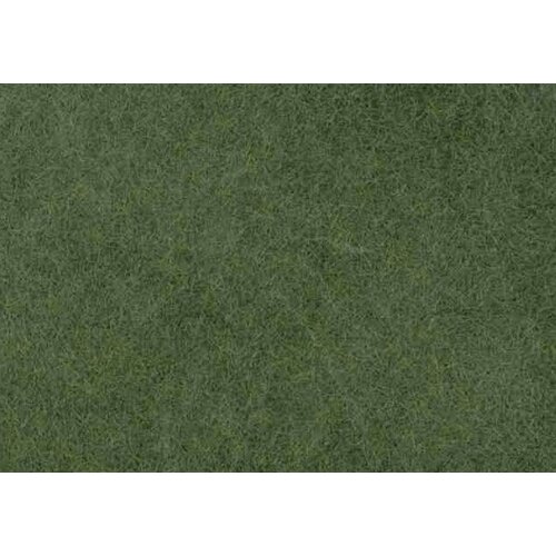 Ziterdes Moeras gras - 12131