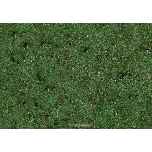 Ziterdes Forest ground - 12132