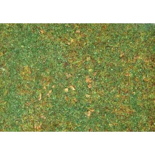 Ziterdes Alpine meadow - 12133