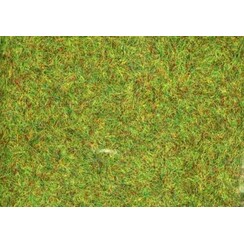 Conquest gras green - 12134