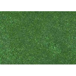 Forest ground flock - 12137