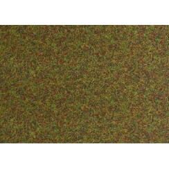 Scorched gras - 12138