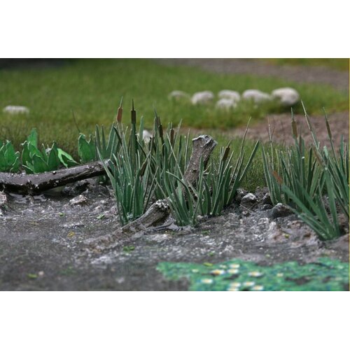 Ziterdes Reed - Riet - 79551