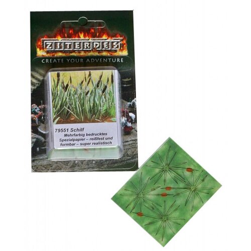 Ziterdes Reed - Riet - 79551