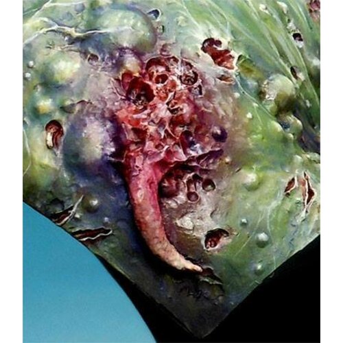 Vallejo Game Color Set Non Death Chaos - 8 kleuren - 17ml - 72302