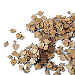 Leaves - Linden - PM-4035
