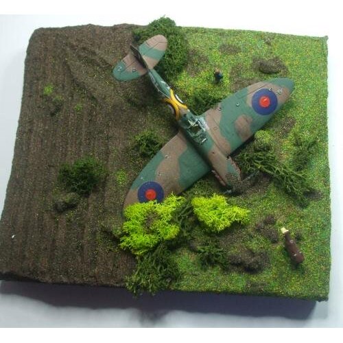 Ziterdes Summer Undergrowth - 12181