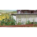 Busch Weeds set - HO 1252