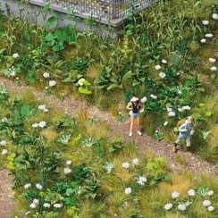 Wilde planten - HO 1227