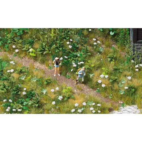 Busch Wild vegetation - HO 1227