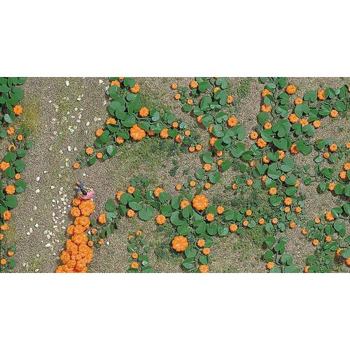 Busch Pumpkinfield - HO 1201
