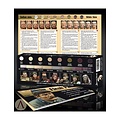 Scale 75 Flesh Paint Set - 8 colors - 17ml - SSE-003