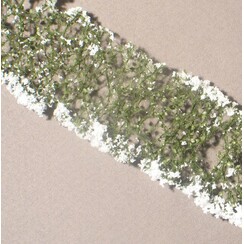 Flowers white 1 : 87 - 998-21 S