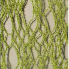 Horse Tail Early Fall 1 : 87 - 990-23 S