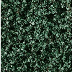 Ivy Summer 1 : 45+ - 936-32 S