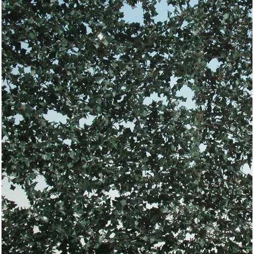 MiniNatur Ivy Summer 1 : 87 - 936-22 S