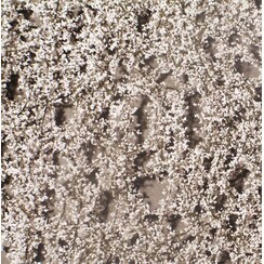 Cherry Blossoms Spring 1 : 87 - 927-21 S