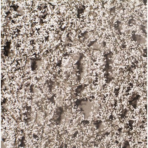 MiniNatur Cherry Blossoms Spring 1 : 87 - 927-21 S