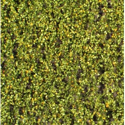 Birch Foliage Early Fall 1 : 87 - 910-23 S