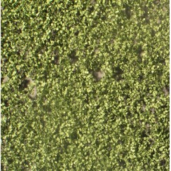 Birch Foliage Summer 1 : 87 - 910-22 S