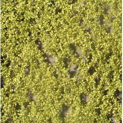 Birch Foliage Spring 1 : 87 - 910-21 S