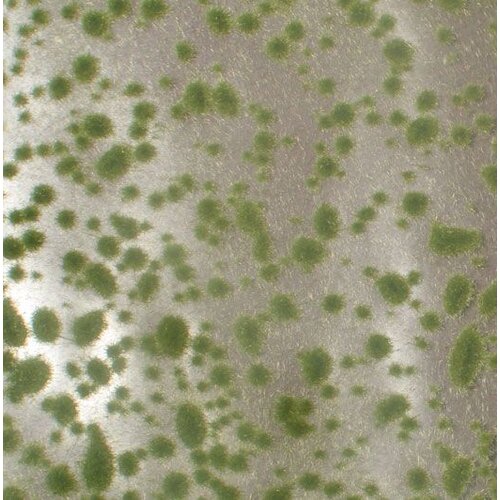 MiniNatur Moss Pads Early Fall 1 : 87 - 747-23 S