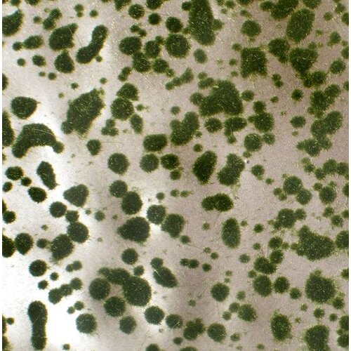 MiniNatur Moss Pads Summer 1 : 87 - 747-22 S