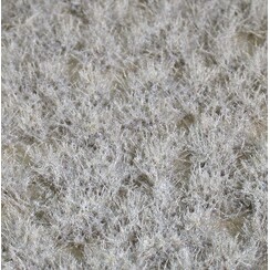 Two Coloured Tufts 1 : 45+ - 737-36 S