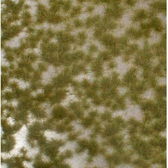 Two Coloured Tufts Early Fall 1 : 87 - 737-23 S