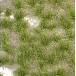 Long Tufts Early Fall 1 : 45+ - 727-33 S