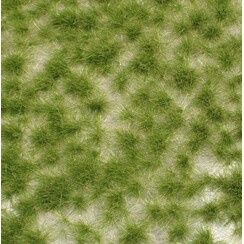 Long Tufts Early Fall 1 : 87 - 727-23 S