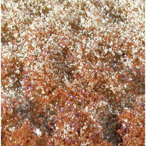 MiniNatur Blossom Tufts Late Fall 1 : 45+ - 726-34 S