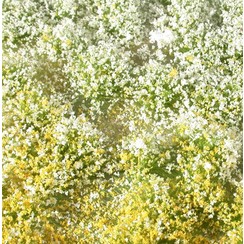 Blossom Tufts Spring 1 : 45+ - 726-31 S