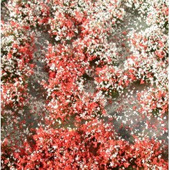 Blossom Tufts Summer 1 : 87 - 726-22 S