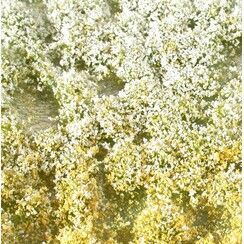 Blossom Tufts Spring 1 : 87 - 726-21 S