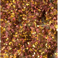 Weed Tufts Late Fall 1 : 45+ - 725-34 S