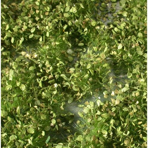 MiniNatur Weed Tufts Spring 1 : 45+ - 725-31 S