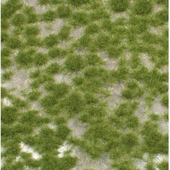 Short Tufts Early Fall 1 : 87 - 717-23 S