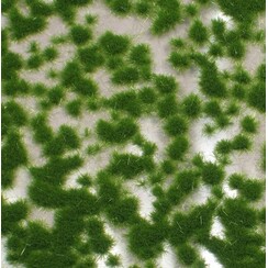 Short Tufts Summer 1 : 87 - 717-22 S