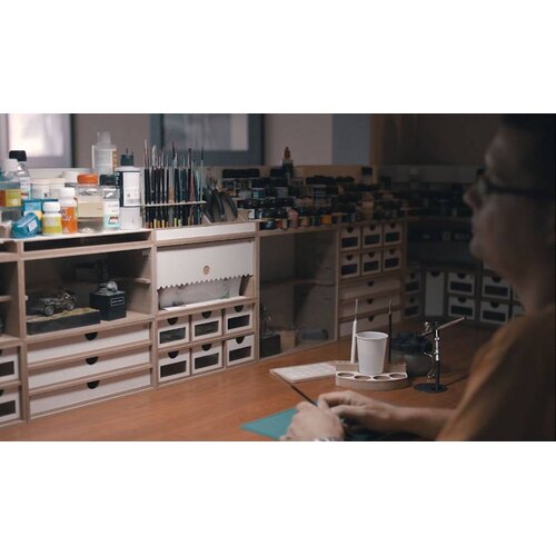 Hobbyzone Big Showcase WIP Module - OM10