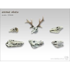Animal Skulls - TTA600020