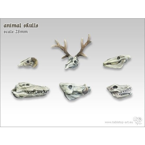 Tabletop-Art Animal Skulls - TTA600020