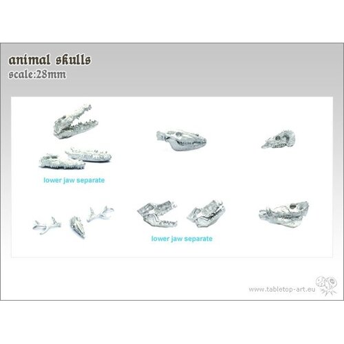 Tabletop-Art Animal Skulls - TTA600020