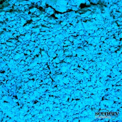 Dayglow Pigments - Ocean Blue - PIG-LP-02