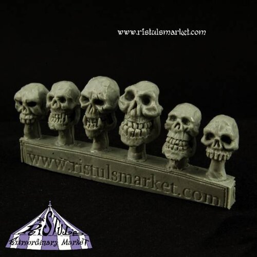 Ristul's Extraordinary Market Undead Ogre Skulls - 6x - COPA0041