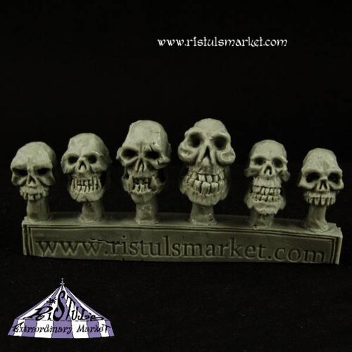 Ristul's Extraordinary Market Undead Ogre Skulls - 6x - COPA0041
